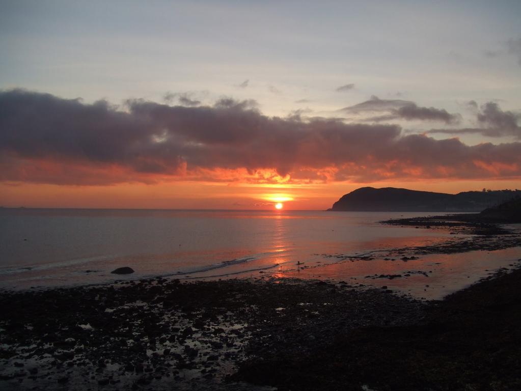 Halfway House Hotel Larne Bagian luar foto